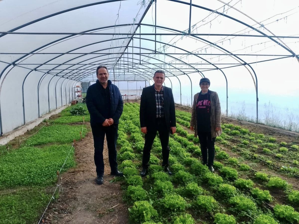 Balıkesir’de özel gereksinimli öğrencilerin üretim becerilerini geliştirmek amacıyla seracılık, mantar