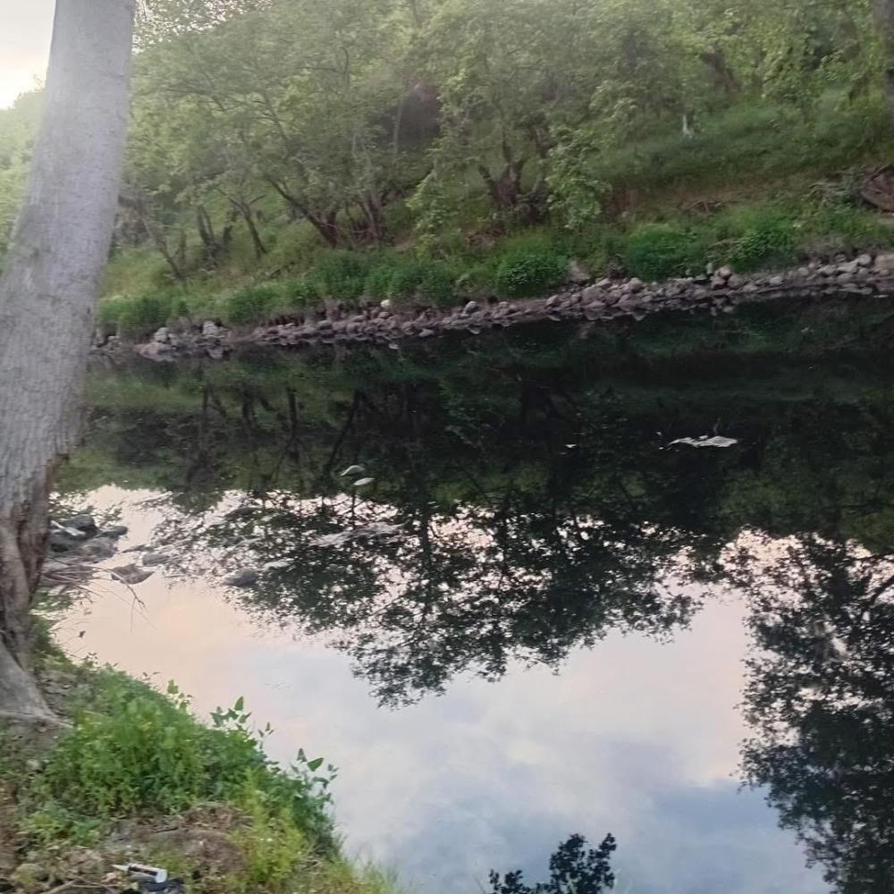 Gönen Çayı Alarm Veriyor! AW575156 05 1 - Marmara Bölge Gazetesi