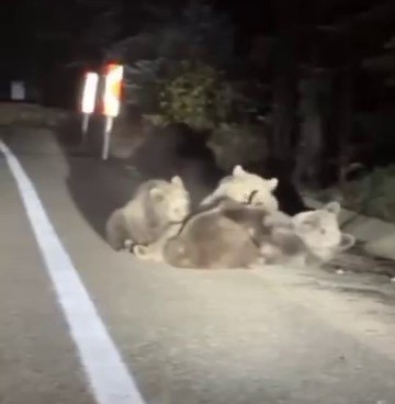 AW579246 01 - Marmara Bölge Gazetesi