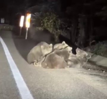 AW579246 03 - Marmara Bölge Gazetesi