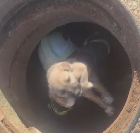 Çukurdan Çıkan Mucize AW582818 01 - Marmara Bölge Gazetesi