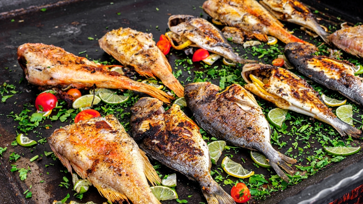 Kızartılmış Balık Sağlığı Tehdit Ediyor! Adsiz tasarim 3 2 - Marmara Bölge Gazetesi