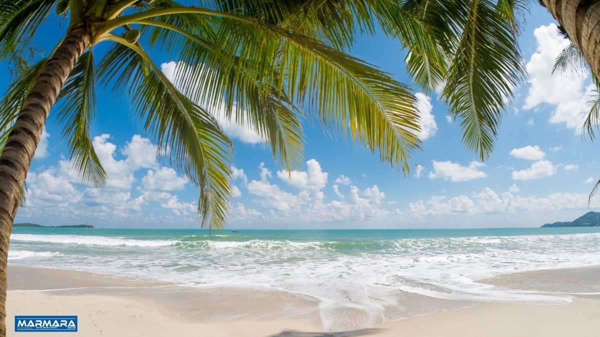 Adsiz tasarim 47 - Marmara Bölge Gazetesi