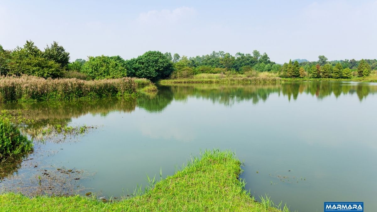 İzmir’in doğusunda yer alan Ödemiş ilçesi, son dönemde hem yerli