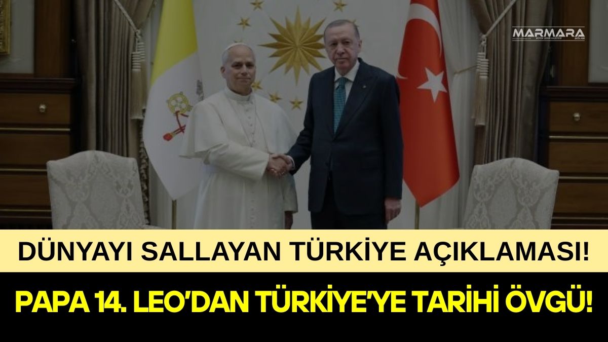 Papa 14. Leo, Türkiye ziyareti için hazırlanan logodaki köprü figürünün