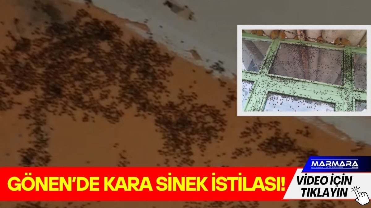 Gönen’in Hacımenteş Mahallesi kara sinek istilasıyla boğuşuyor. Vatandaşlar, evlerine giremez
