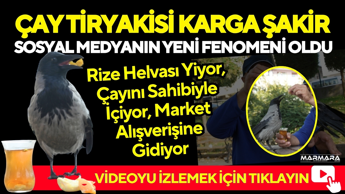 Kocaeli’de otobüs kaptanı Ömer Tek, 2,5 yıl önce yaralı halde