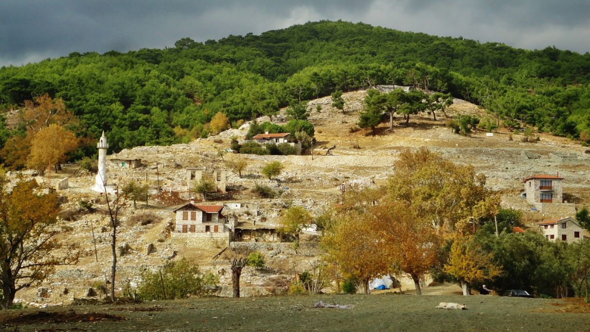 Edremit’te Kavurmacılar Köyü Doğası ve Manzarasıyla Büyülüyor DSC09244 - Marmara Bölge Gazetesi