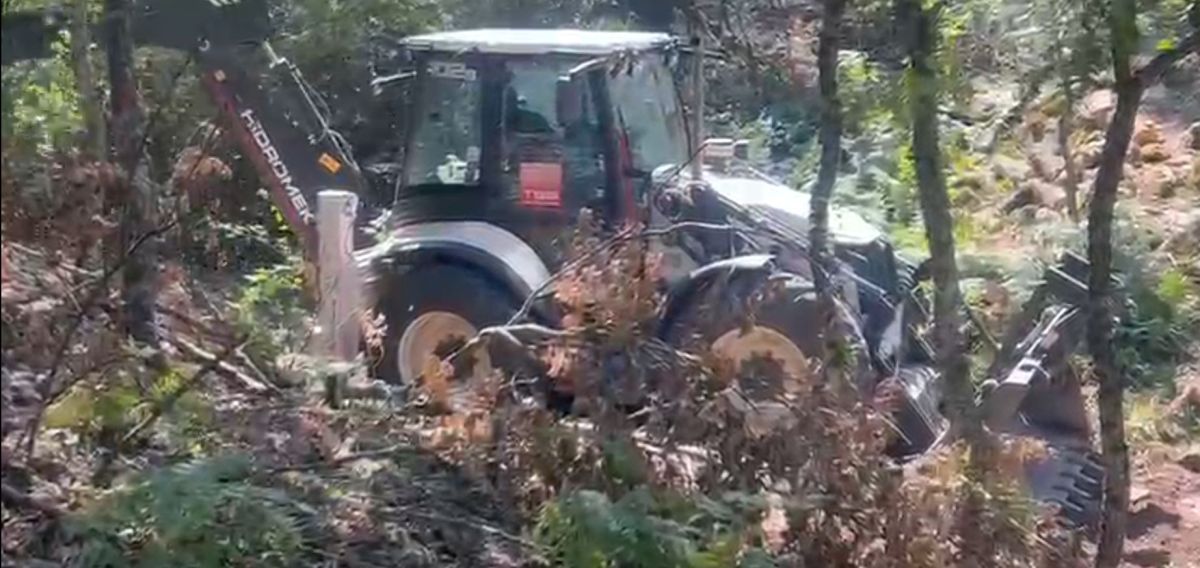 Ekran goruntusu 2025 11 07 145212 - Marmara Bölge Gazetesi