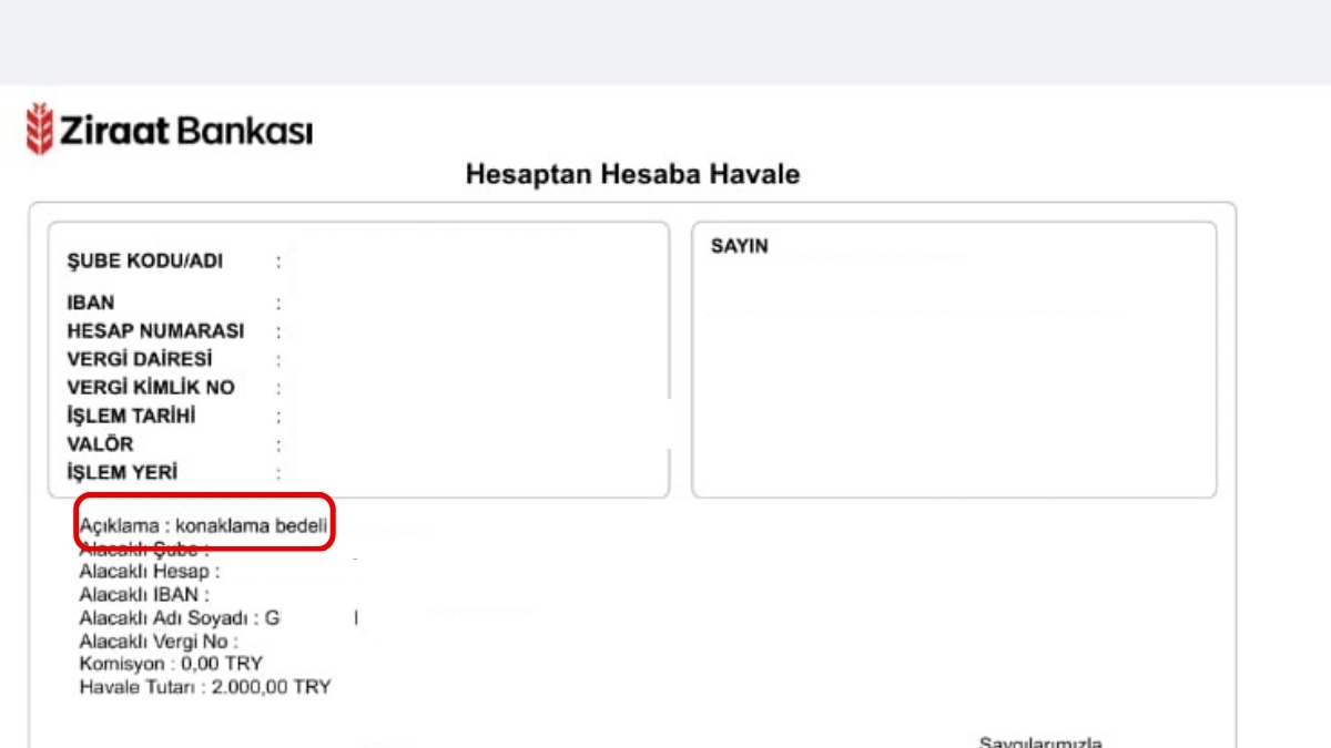 Evinize ve ofisinize Bu Cicekleri Alin Havanizi Temizleyin 2025 11 08T123149.110 - Marmara Bölge Gazetesi