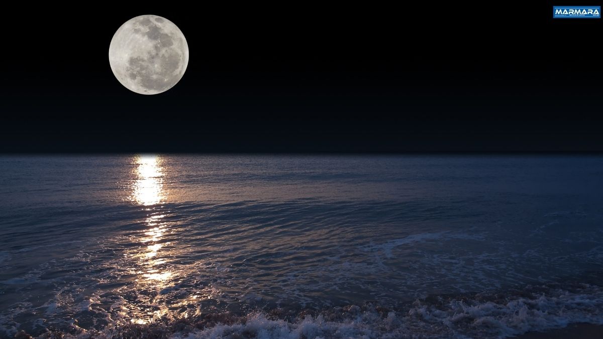 Kamp Tutkunları Burayı Konuşuyor! Phaselis Koyu 5 - Marmara Bölge Gazetesi