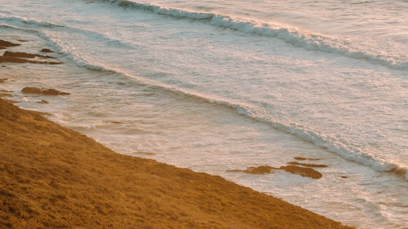 İzmir’in Karaburun ilçesinde yer alan Mimoza Koyu, doğallığını koruyan yapısı,