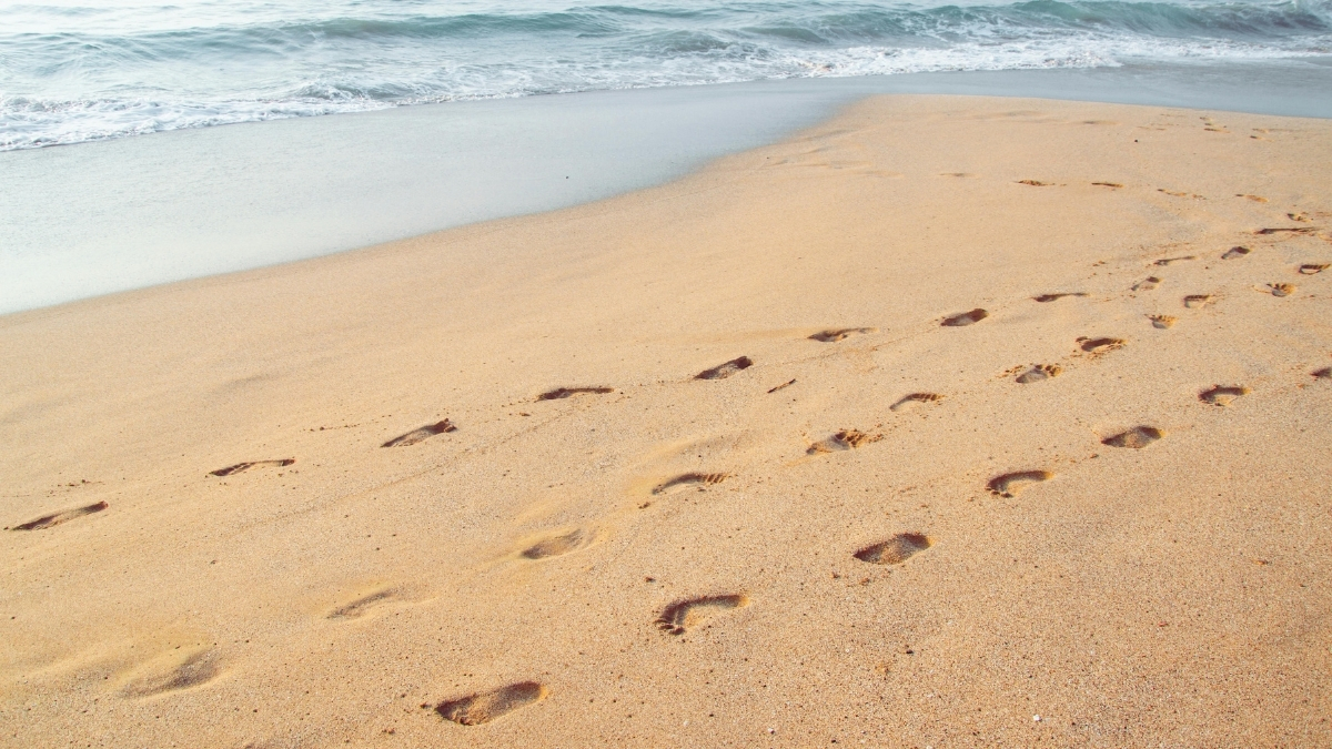 Ege’nin incisi Edremit, her yaz olduğu gibi bu yıl da