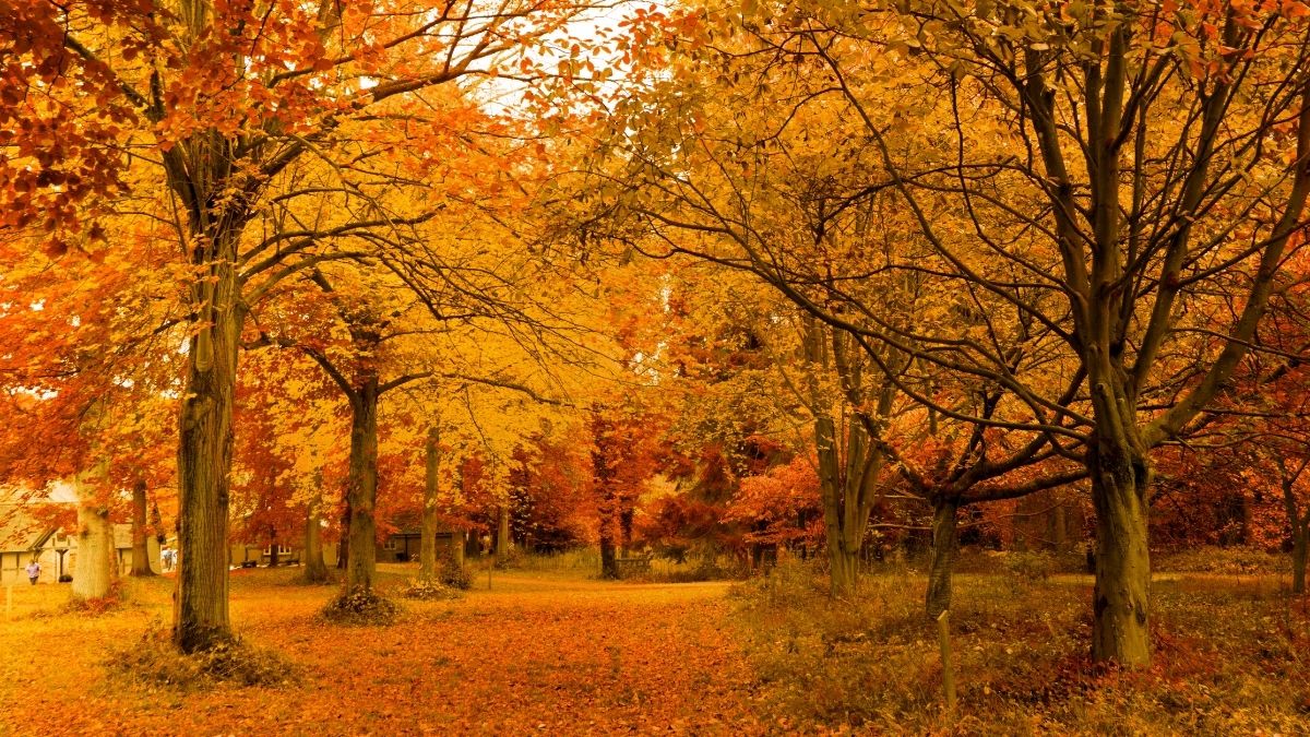 Kasım ayı Edremit’te doğanın en sakin, en büyüleyici halini görmek