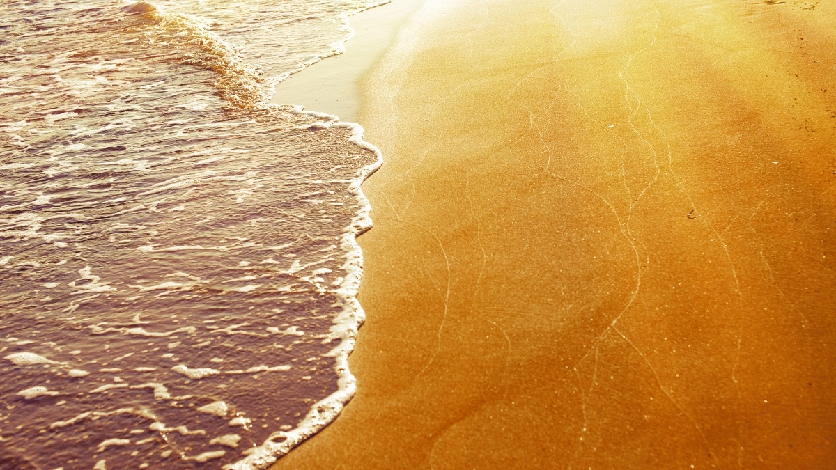 İzmir’in Urla ilçesinde yer alan Kum Denizi Plajı, altın sarısı