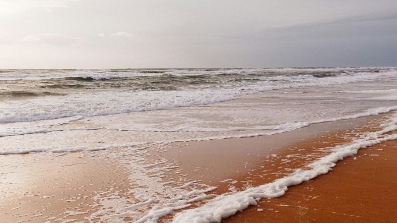 Foça’nın kalabalığından uzak, doğayla baş başa kalabileceğiniz Mersinaki Koyu; berrak