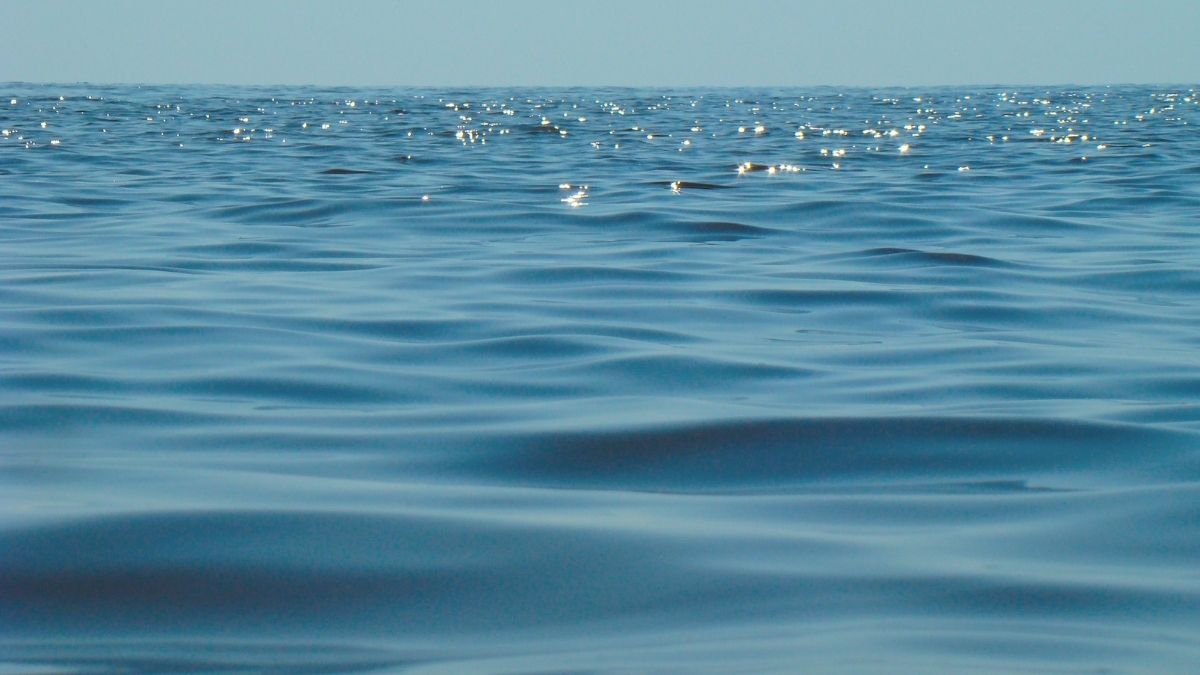 İzmir’in Foça ilçesinde, Yeni Foça ile Eski Foça arasında yer