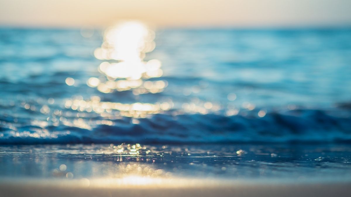 İzmir’in Urla ilçesinde, kalabalıktan uzaklaşıp doğayla baş başa kalmak isteyenler