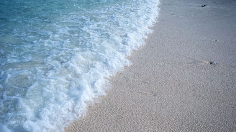 İzmir’in Dikili ilçesi açıklarında yer alan Garip Adası, bakir doğası,