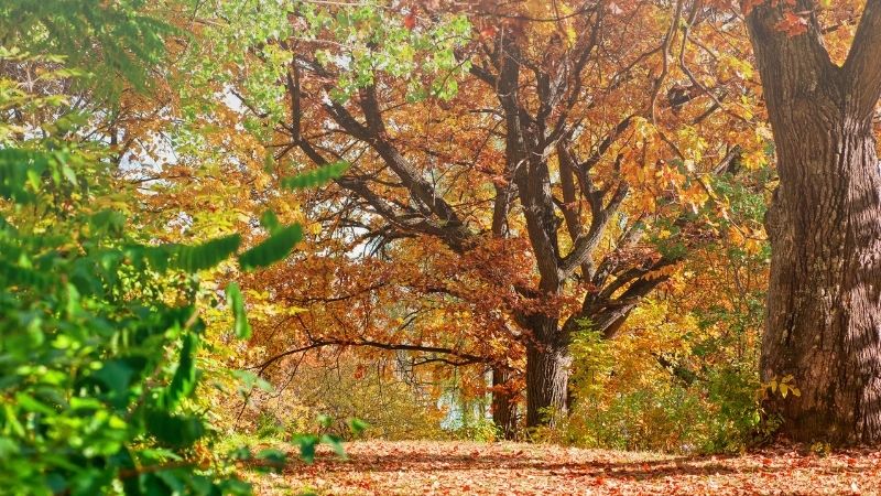 Edremit'te hafta sonu hem dinlenmek hem de yenilenmek isteyenler için