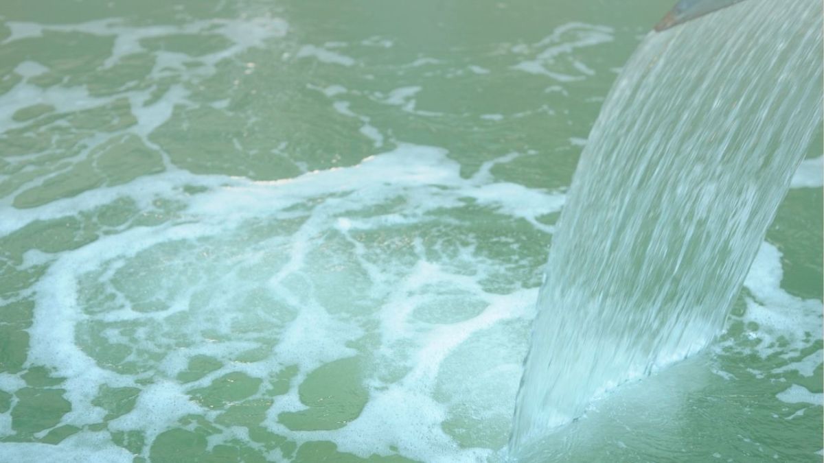 SILA KUSUMUN SABLONU 2025 11 15T174252.068 - Marmara Bölge Gazetesi