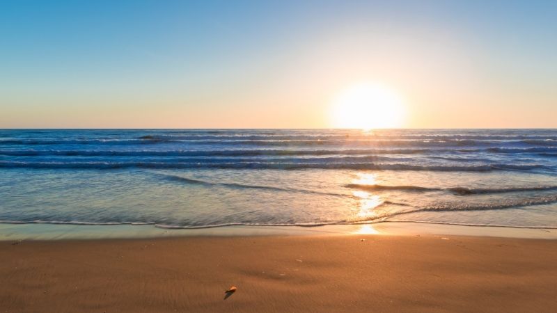 Edremit’in Güre Avcılar bölgesinde bulunan Balıkesir Büyükşehir Belediyesi’ne ait Onnhan