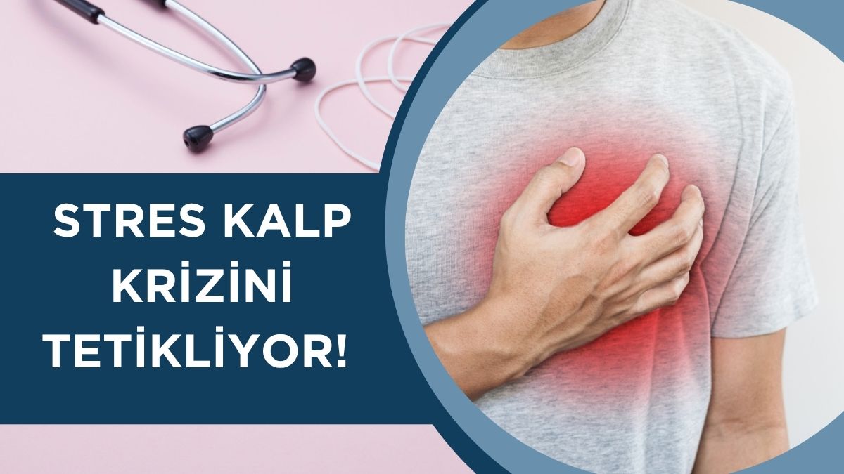 Kalp ve damar hastalıkları üzerine çalışmalarıyla tanınan Prof. Dr. Ahmet
