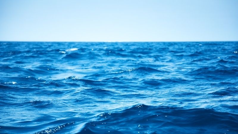 İzmir’in Foça ilçesinde yer alan Kaleburnu Plajı, son yıllarda doğal