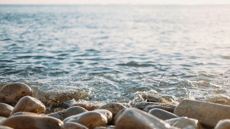 İzmir’in Eski Foça bölgesinde yer alan Çanak Koyu, sığ denizi,