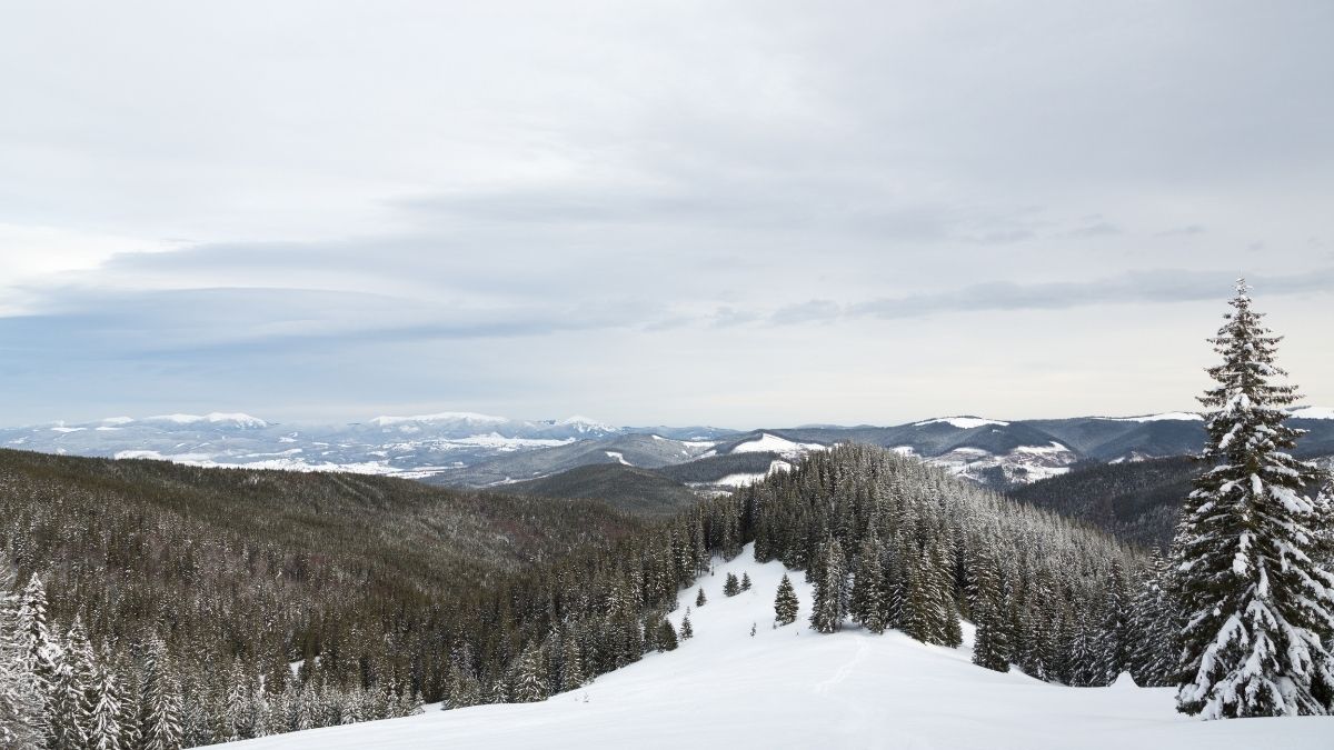Edremit’te Kış Sürprizi! SILA KUSUMUN SABLONU 2025 11 22T170601.388 - Marmara Bölge Gazetesi