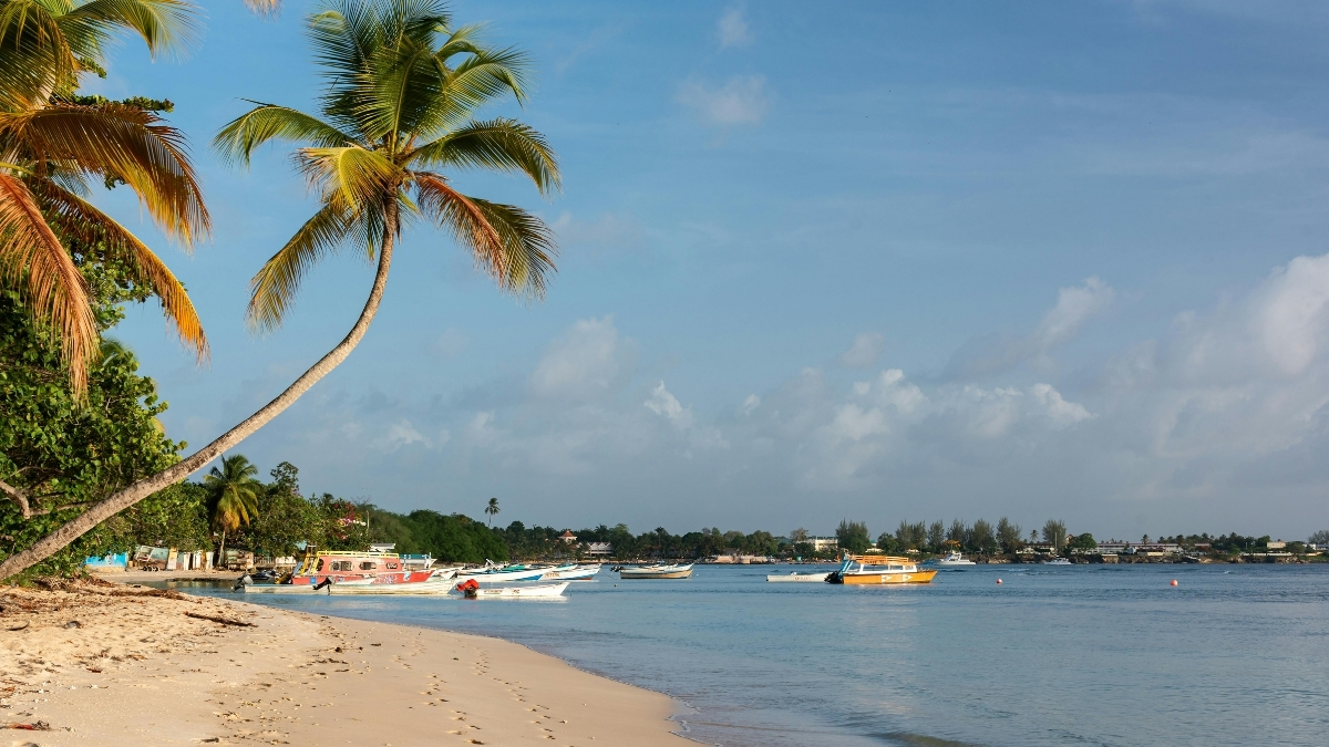 Tasarim 22 - Marmara Bölge Gazetesi