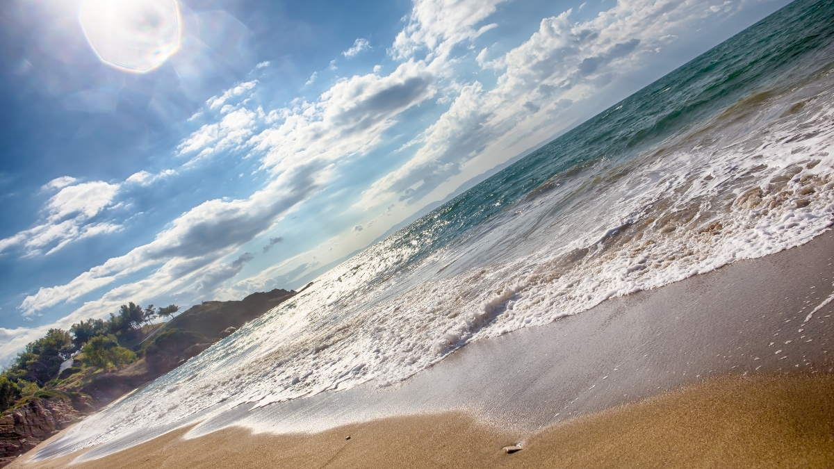 Tasarim 28 - Marmara Bölge Gazetesi