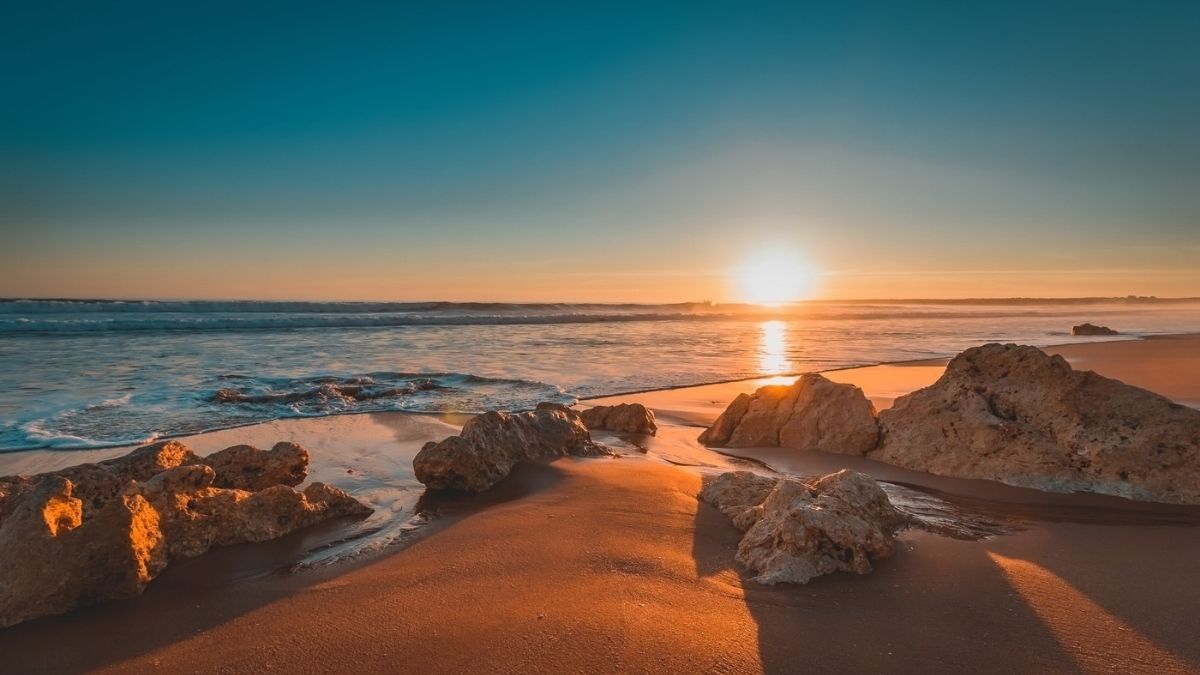 Tasarim 41 1 - Marmara Bölge Gazetesi