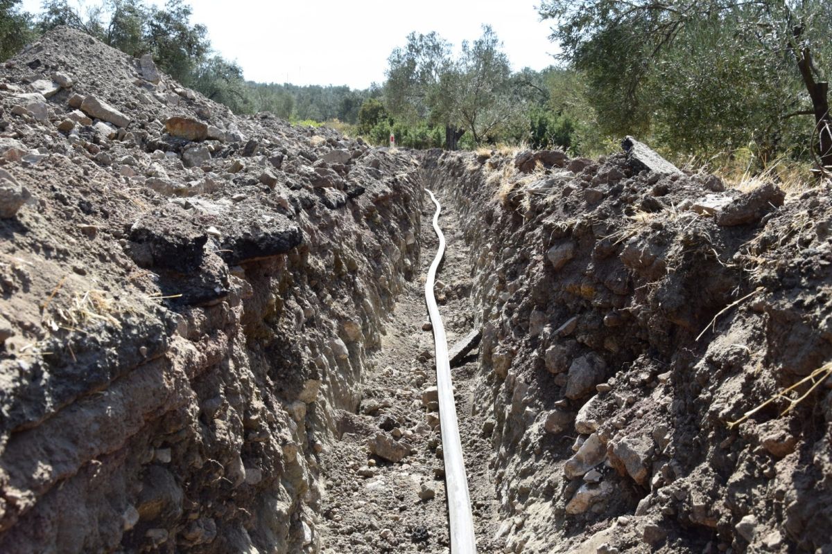 acc4cca4 0119 4bf5 ab19 ea0320dff033 - Marmara Bölge Gazetesi