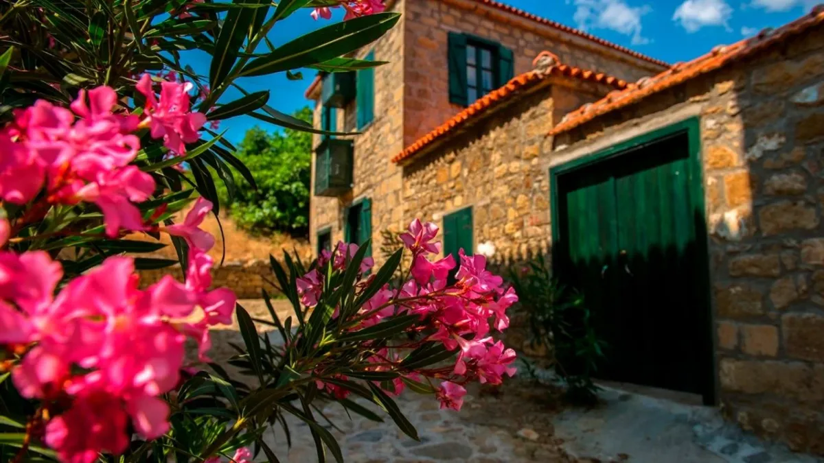 Ege’nin kuzeyinde, Kaz Dağları’nın yamaçlarına kurulmuş olan Adatepe Köyü, taş