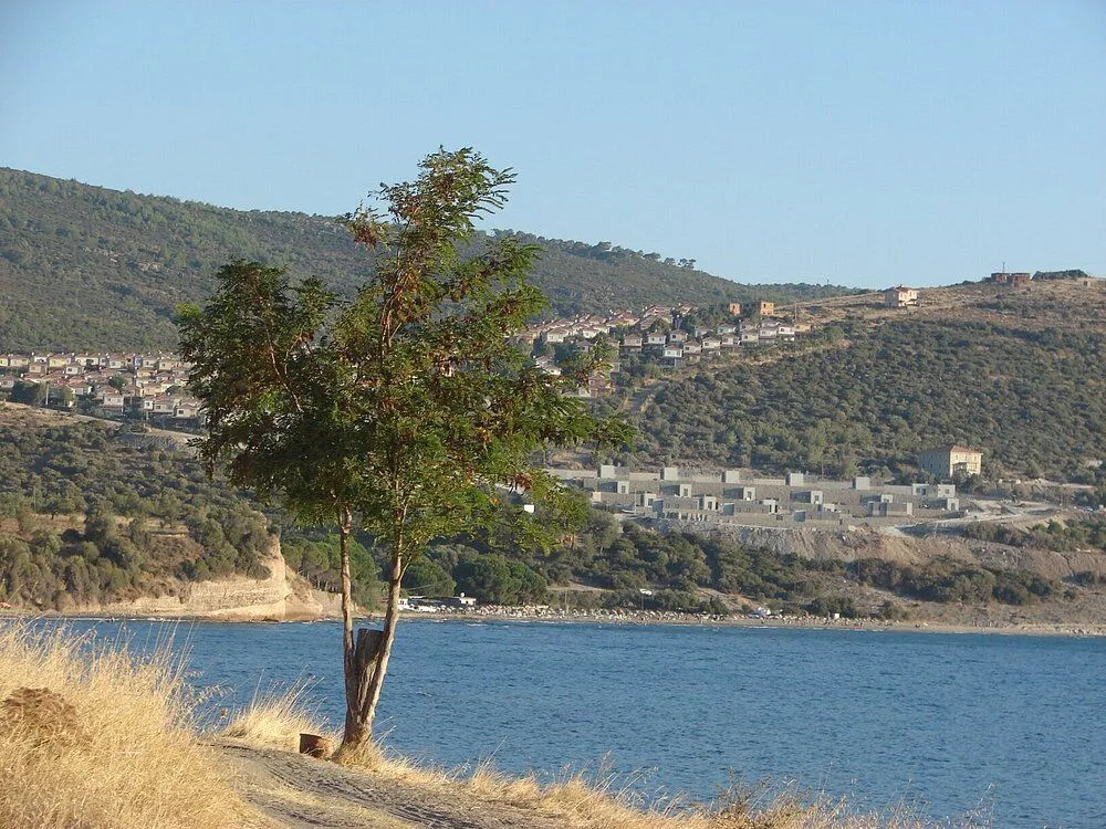 akliman 4 - Marmara Bölge Gazetesi