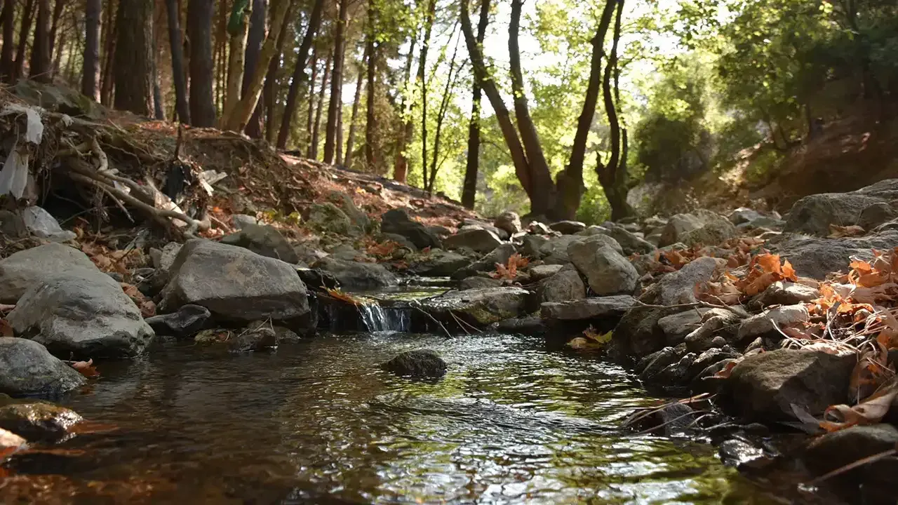 Doğayla Baş Başa Sır Rota ali onbasi deresi kapak - Marmara Bölge Gazetesi