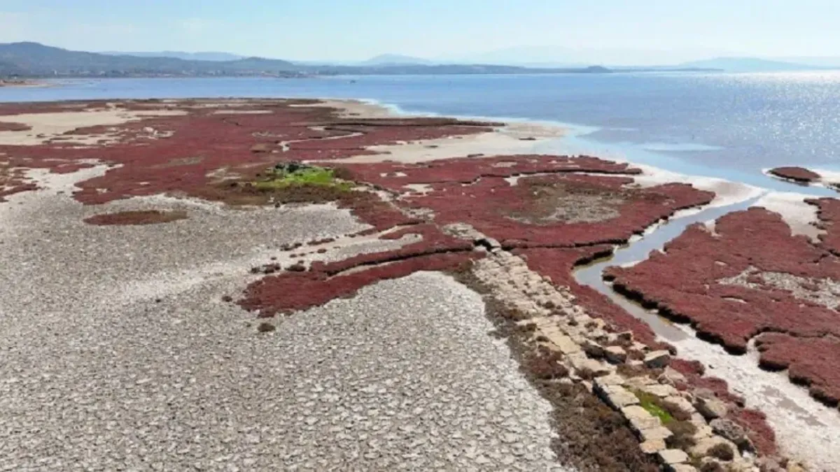 bergama antik liman 2 - Marmara Bölge Gazetesi