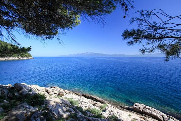 Sessizliğin ve Doğanın Buluştuğu Saklı Koy beycik buku koyunda hangi aktiviteler yapilir - Marmara Bölge Gazetesi