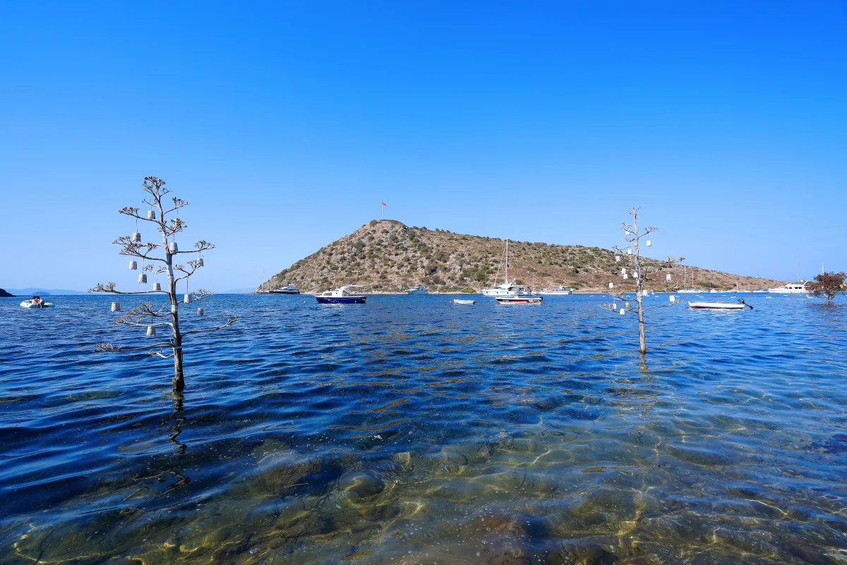 google photo 689ec6cf5b6a1 - Marmara Bölge Gazetesi