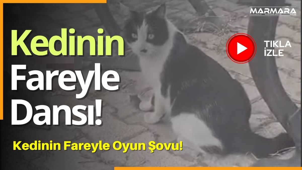 Elazığ’da bir kedinin yakaladığı fareyle uzun süre oynadığı anlar kameraya