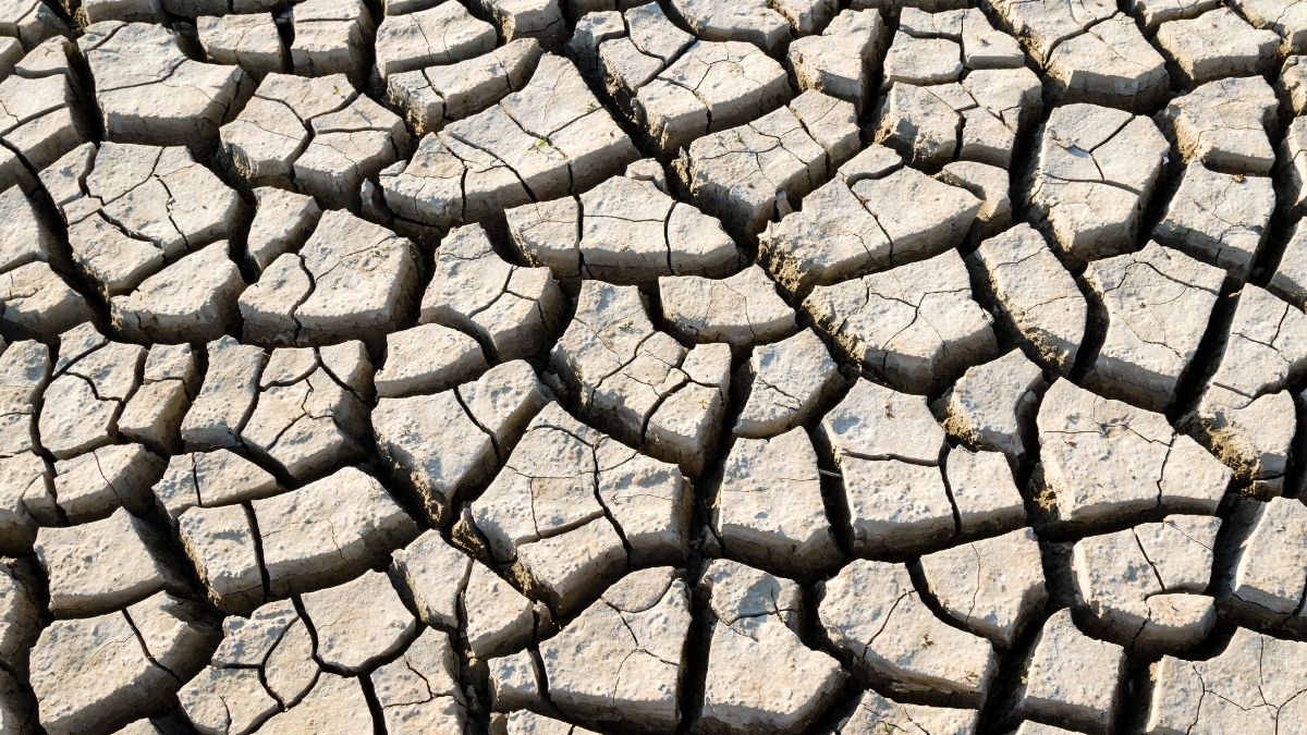 Dünya genelinde artan sıcaklıklar, azalan yağışlar ve bilinçsiz su tüketimi,