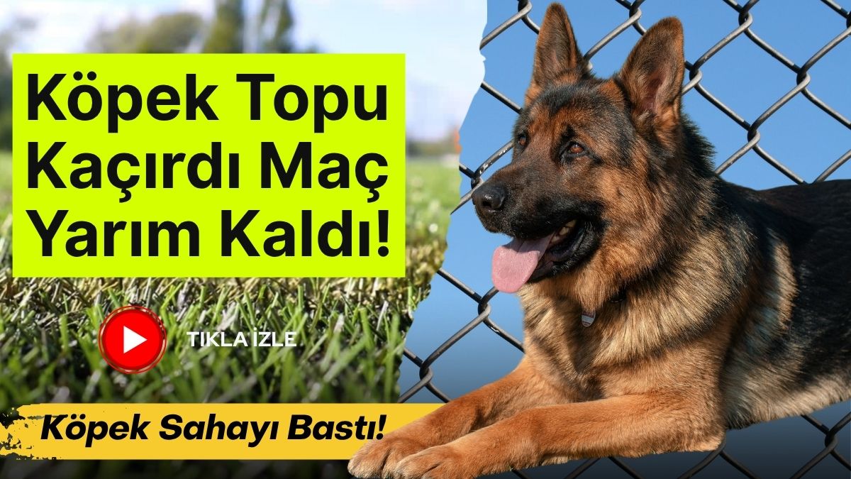 Ankara'nın Sincan ilçesinde halı sahada futbol oynayan çocukların topunu bir