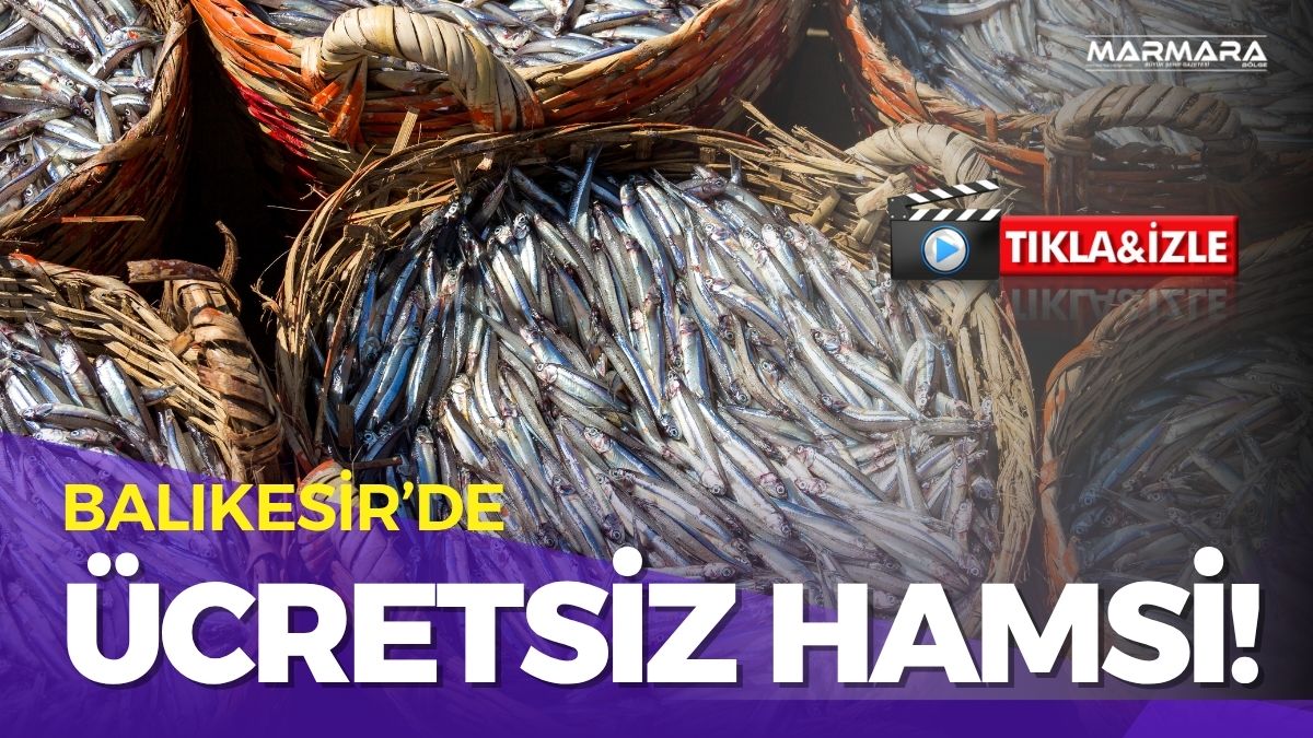 Balıkesir’in Erdek ilçesine bağlı Paşalimanı Adası Balıklı Mahallesi’nde balıkçılar, tezgâhlardaki