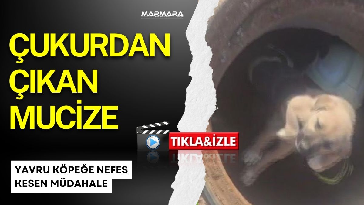 Hatay'ın Kırıkhan ilçesinde 6 metre derinliğindeki çukura düşen yavru köpek,