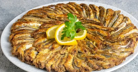 Kalp sağlığı için en faydalı balıkların hangileri olduğu balık sezonunun