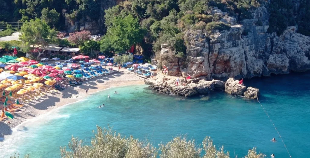 image 79 1024x522 1 - Marmara Bölge Gazetesi