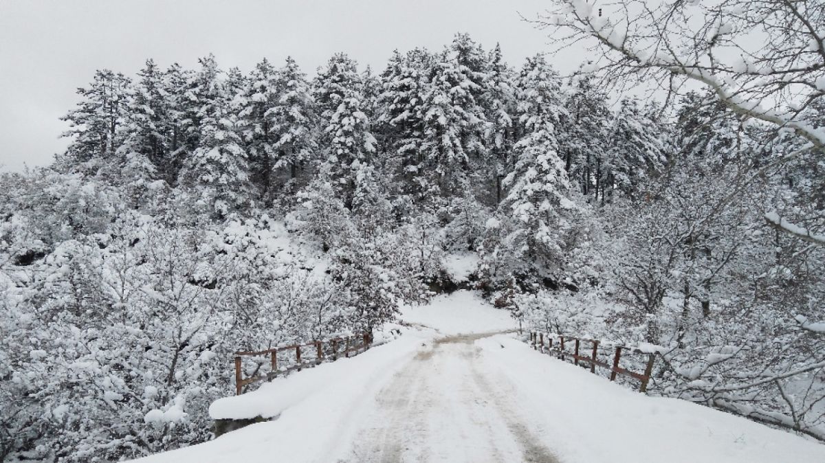 Kazdağları, yılın her mevsimi büyüleyici olsa da sonbahar, buraya bambaşka