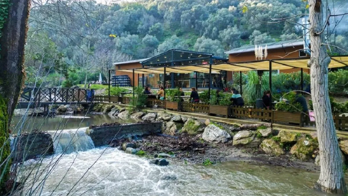 Doğayla Baş Başa Sır Rota narlidere park orman 2 - Marmara Bölge Gazetesi