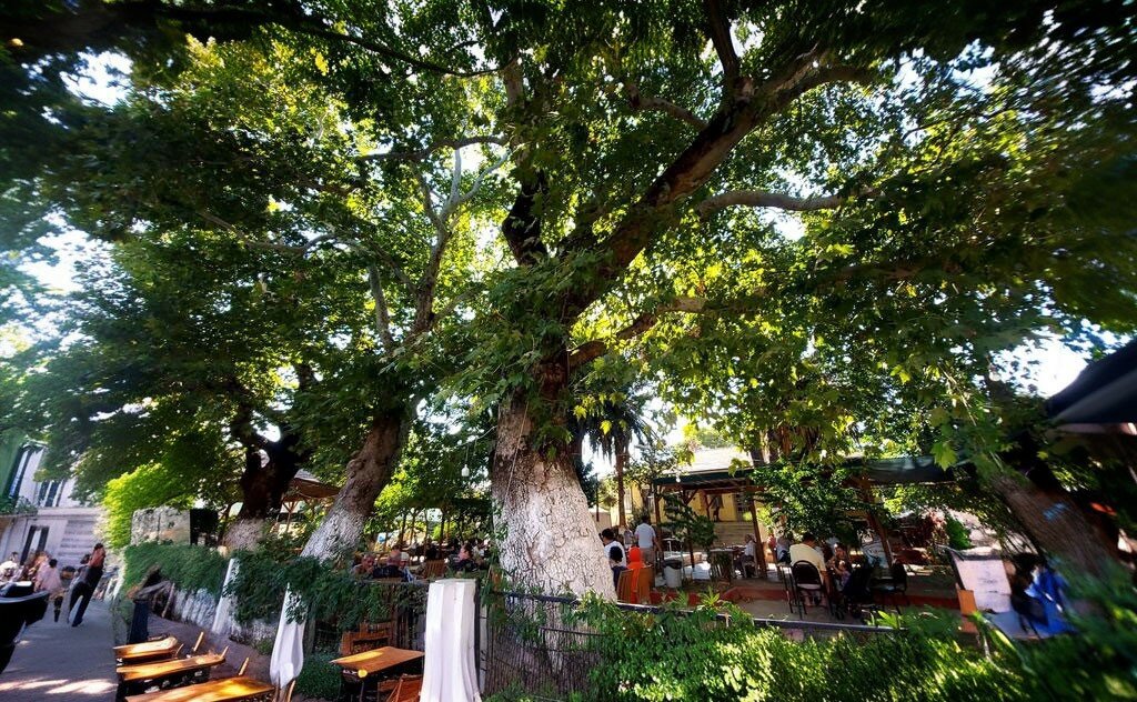 Edremit’te Yeşilin ve Huzurun Buluştuğu Doğa Rotası orig 2 - Marmara Bölge Gazetesi